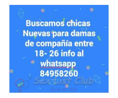 Buscamos chicas nuevas para trabajar como damas de compañía